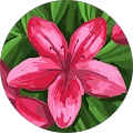 Danielle Avatar